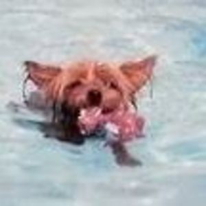 Meet your Posher, Kyler